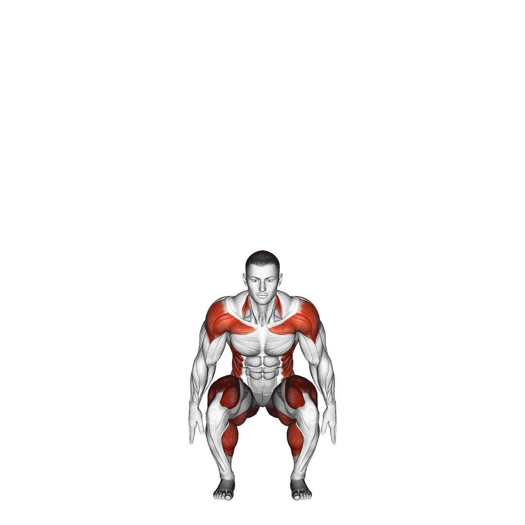 Exercise animation demo 5